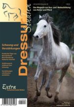 Schwung und Verstärkungen