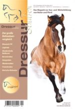 Der große Reitweisenvergleich