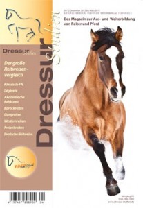 DS_Titel_0412_01.indd