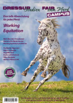 Working Equitation: Tolle Abwechslung für jedes Pferd