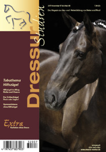 titel_DS_Umschlag_0307_klein