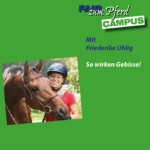 Video: FzP-Campus mit Friederike Uhlig