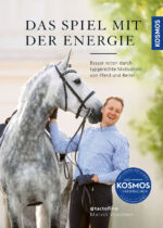 Buch: Das Spiel mit der Energie" von Martin Vroomen